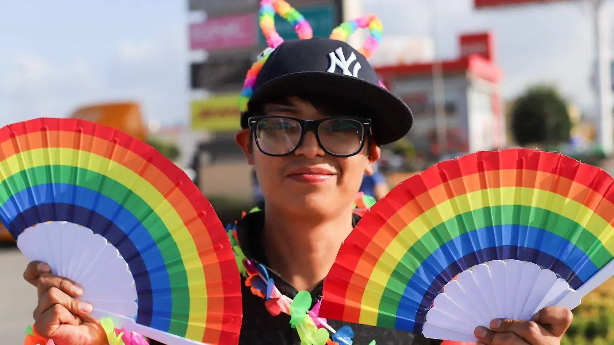 marcha LGBT en soledad (9)